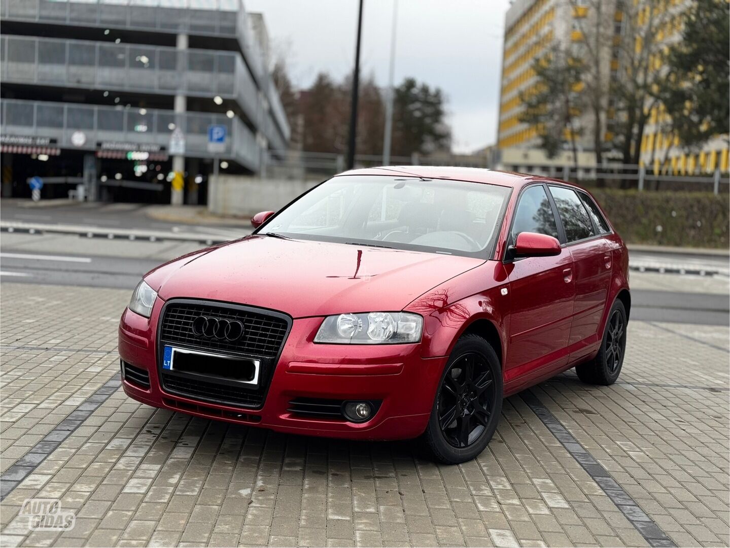 Audi A3 2008 m Hečbekas