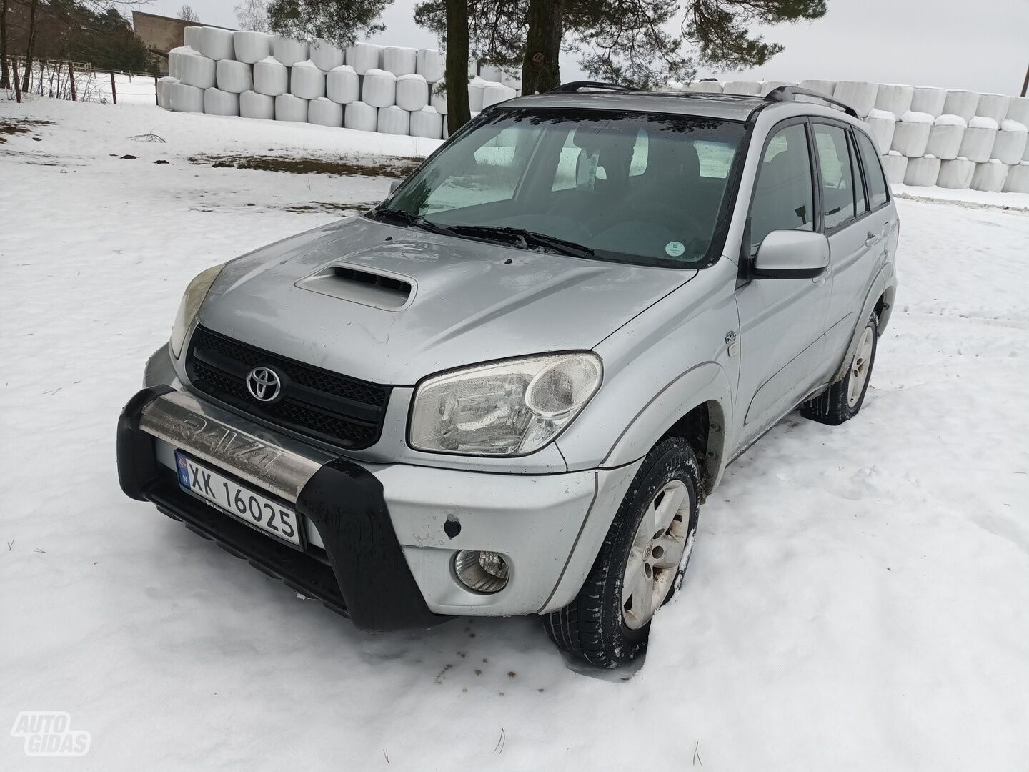 Toyota RAV4 2004 г Внедорожник / Кроссовер