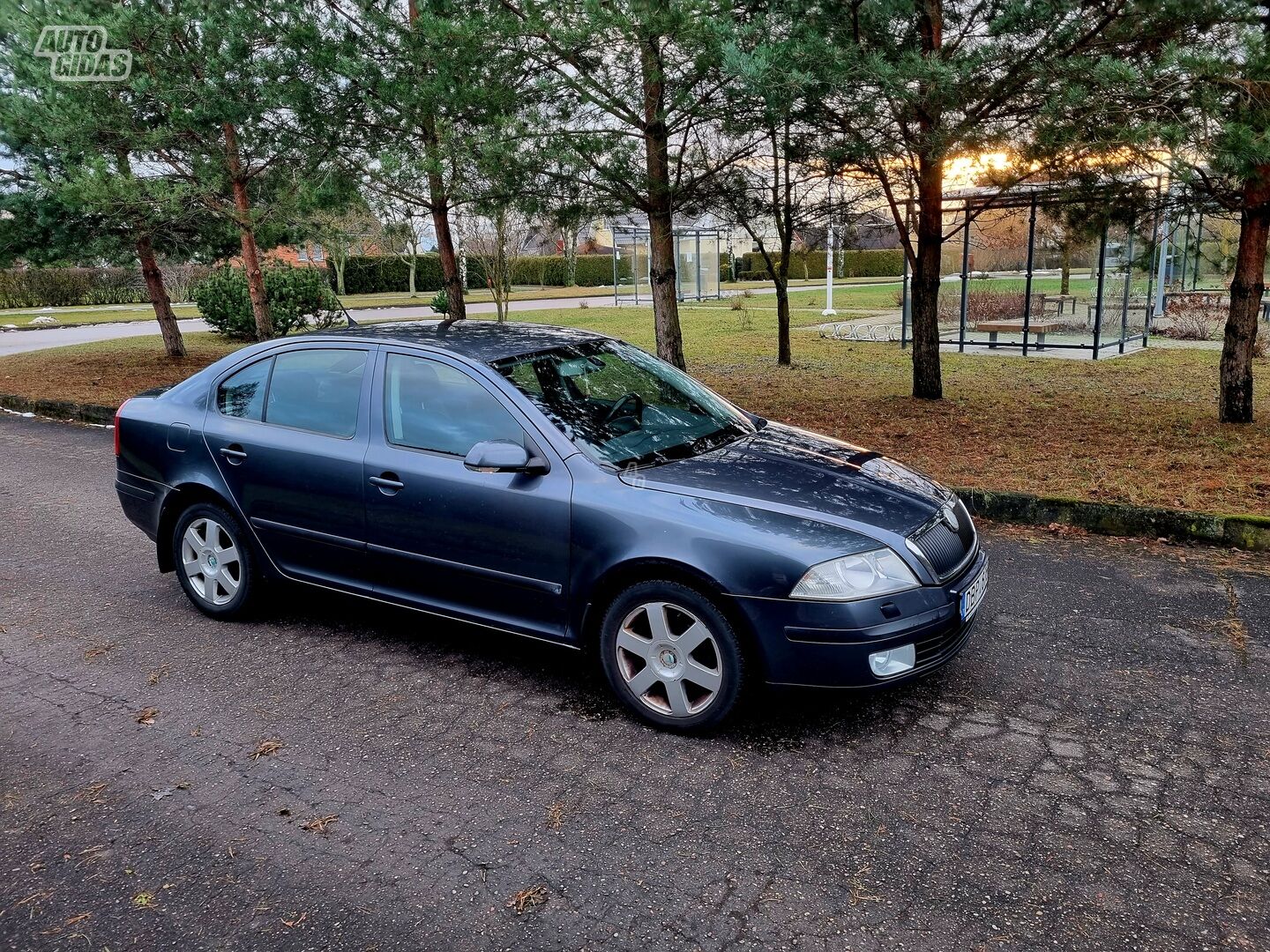 Skoda Octavia 2007 m Hečbekas