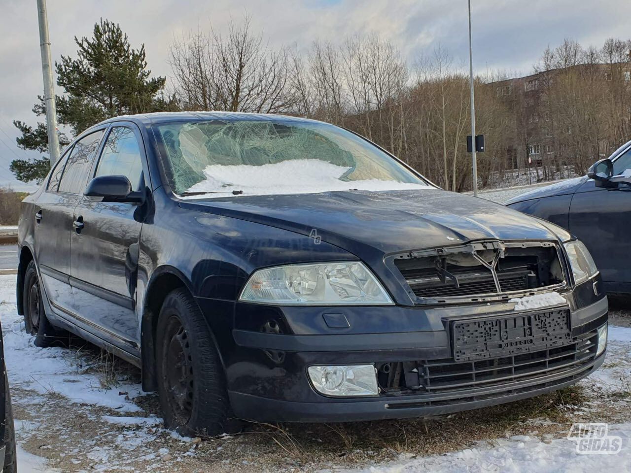 Skoda Octavia 2006 m dalys