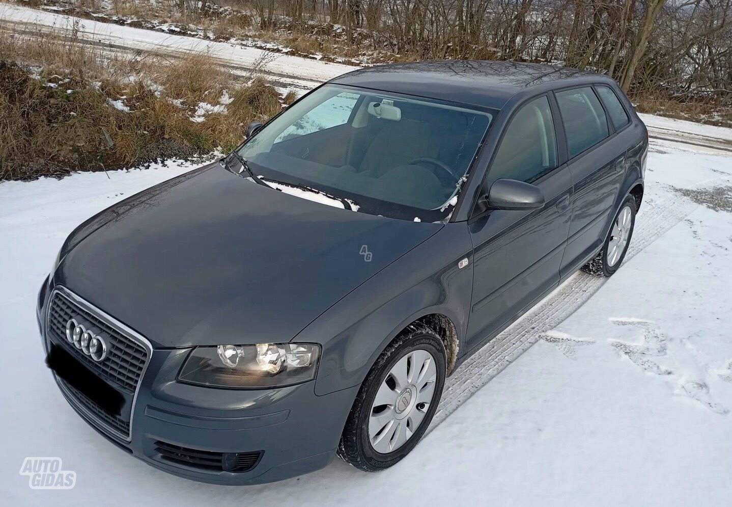 Audi A4 2007 m Hečbekas