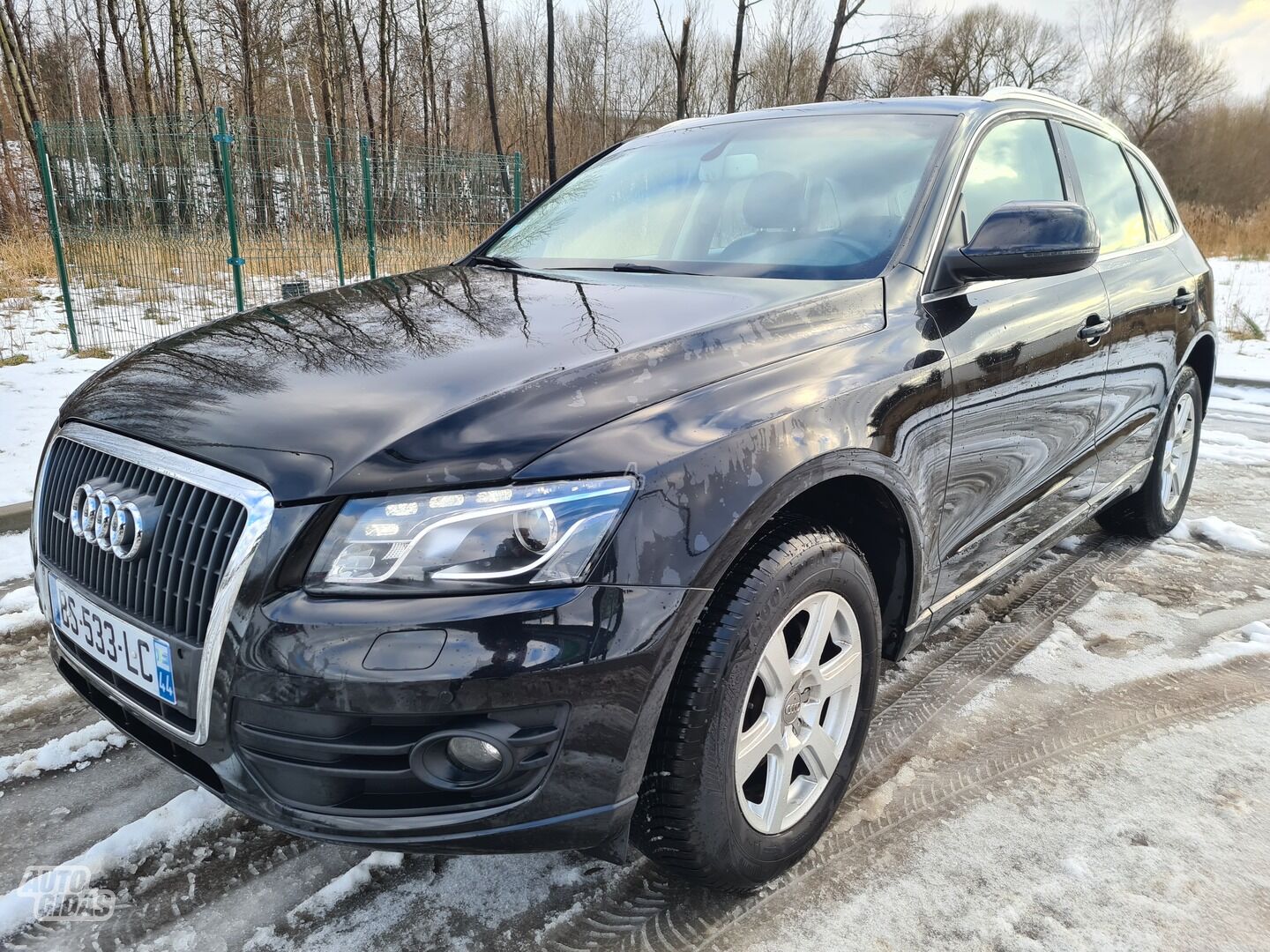 Audi Q5 2011 m Visureigis / Krosoveris