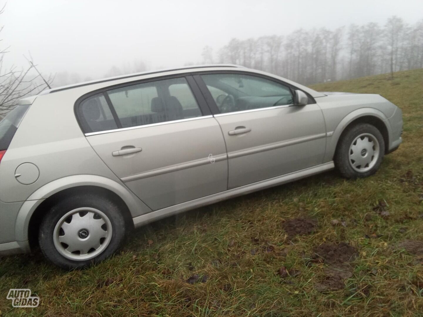 Opel Signum 2006 m dalys