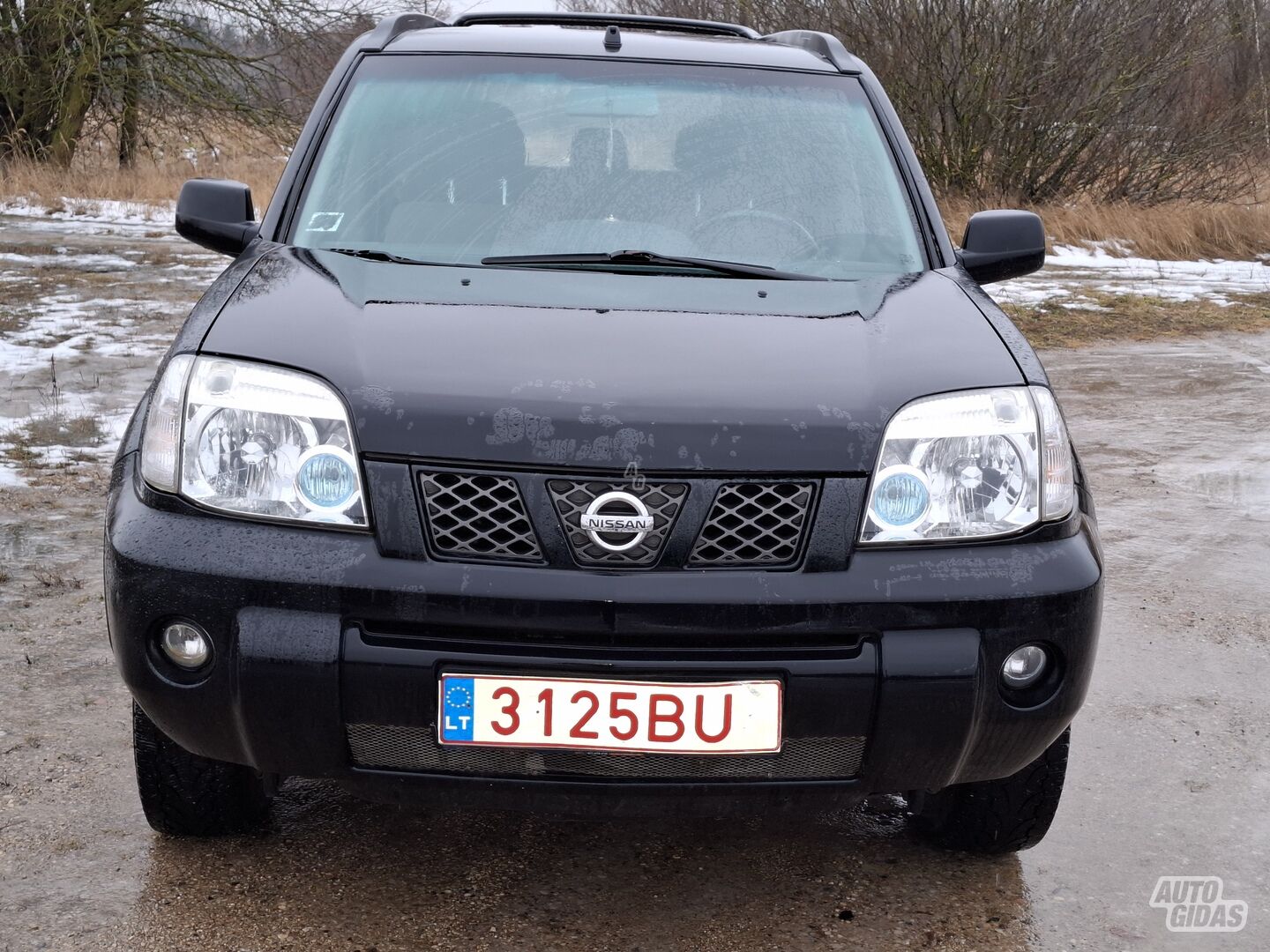 Nissan X-Trail 2004 m Visureigis / Krosoveris