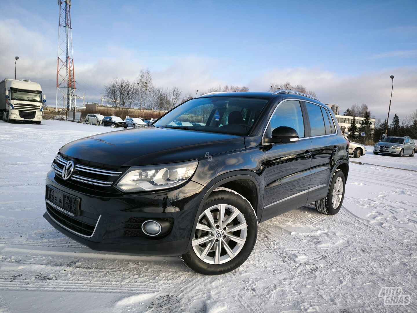 Volkswagen Tiguan 2012 г Внедорожник / Кроссовер