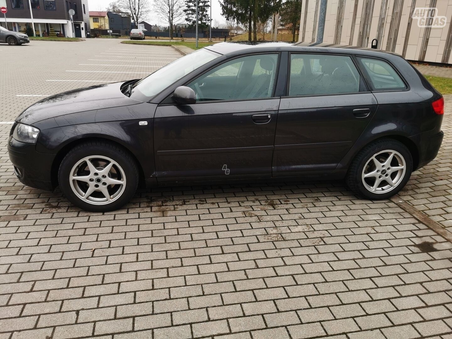 Audi A3 2006 m Hečbekas