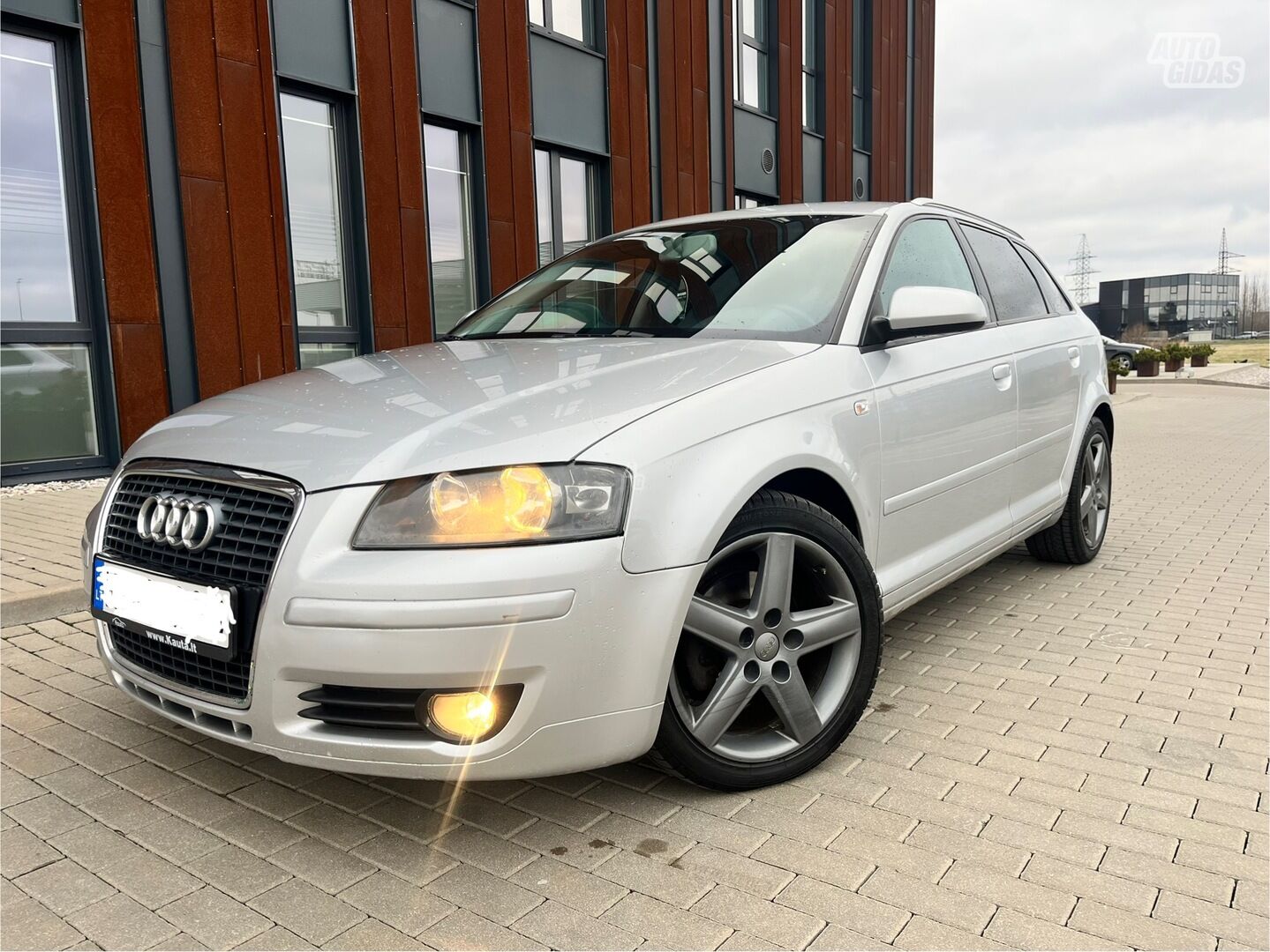 Audi A3 2006 m Hečbekas