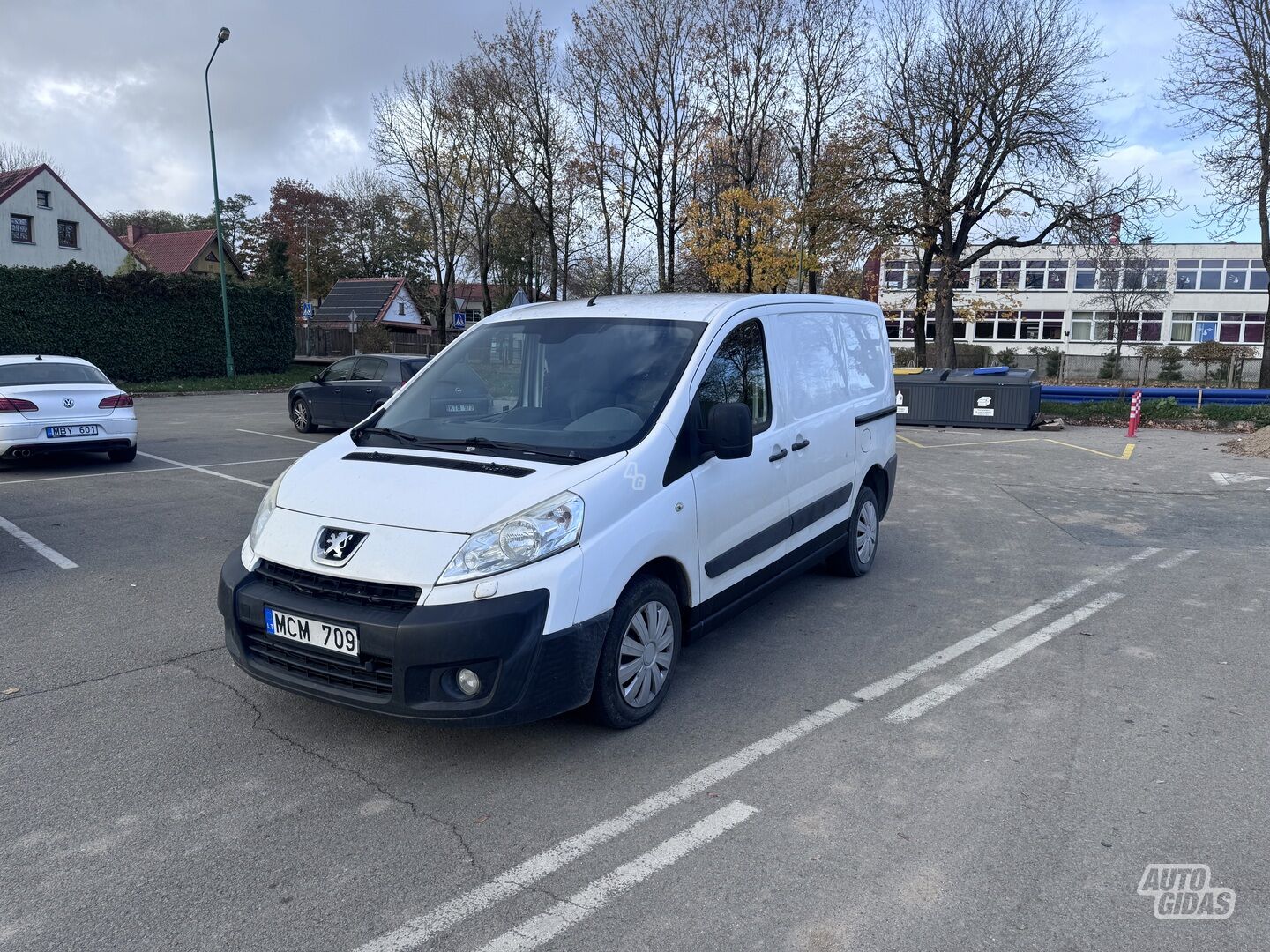 Peugeot Expert 2009 y Heavy minibus