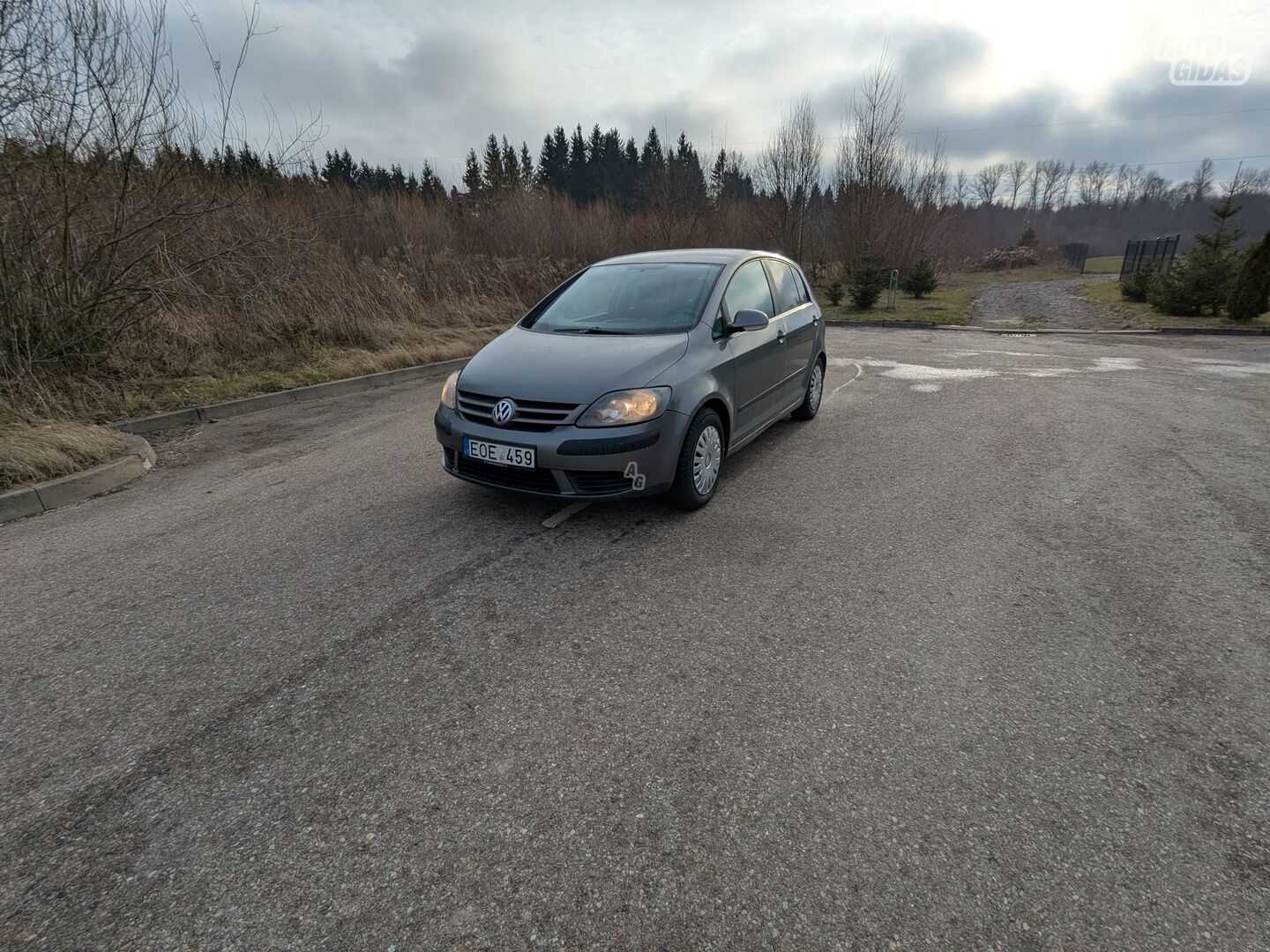 Volkswagen Golf Plus 2006 y Van