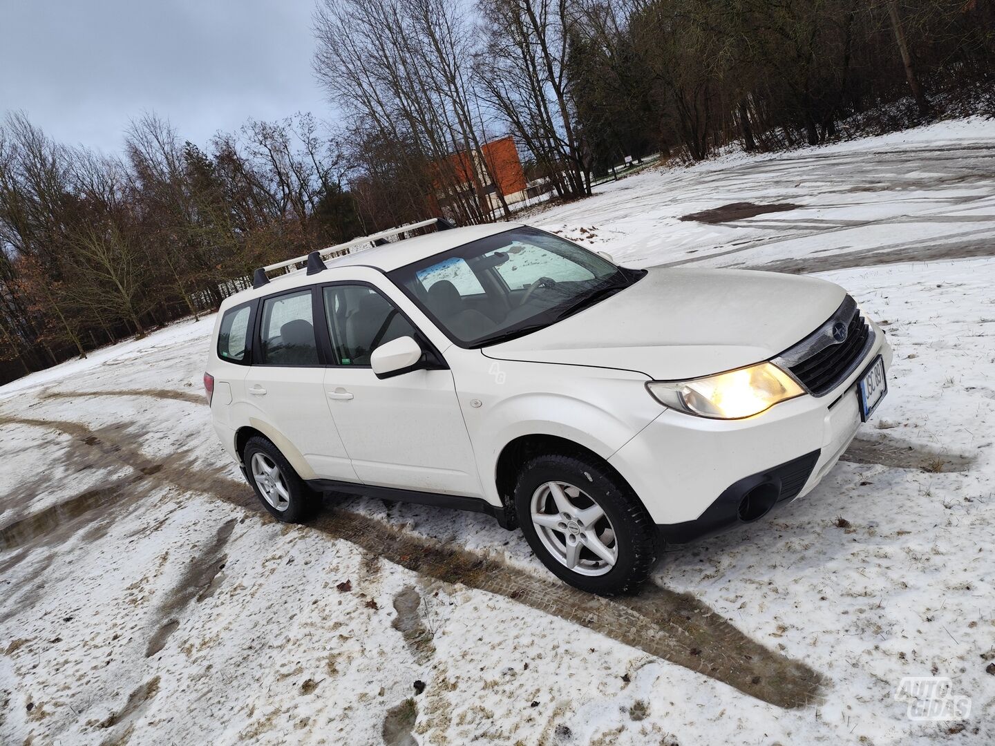 Subaru Forester 2009 m Visureigis / Krosoveris