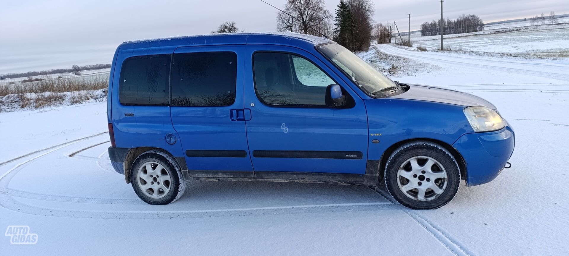 Citroen Berlingo 2003 г Минивэн