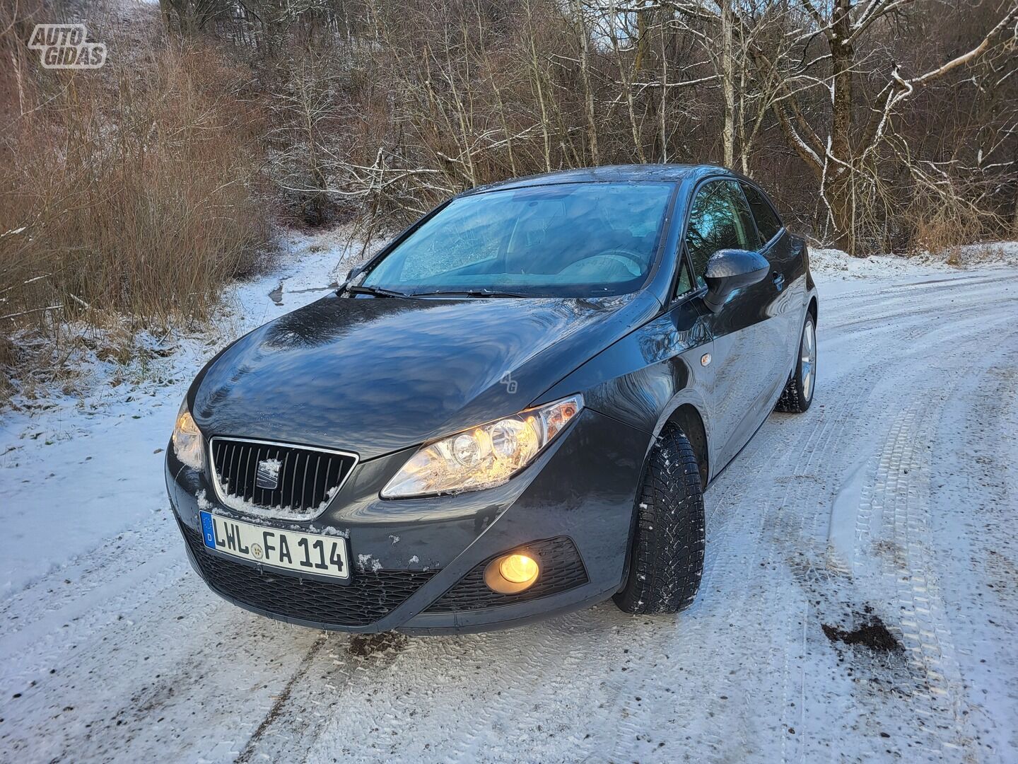 Seat Ibiza 2009 y Hatchback