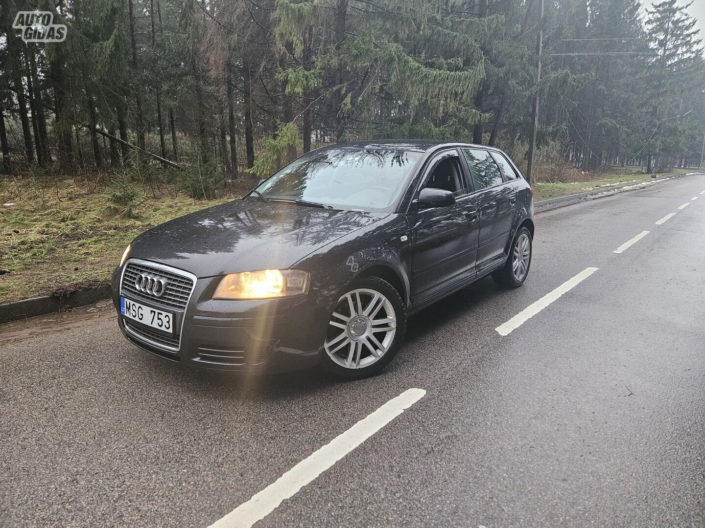 Audi A3 2007 г Хэтчбек