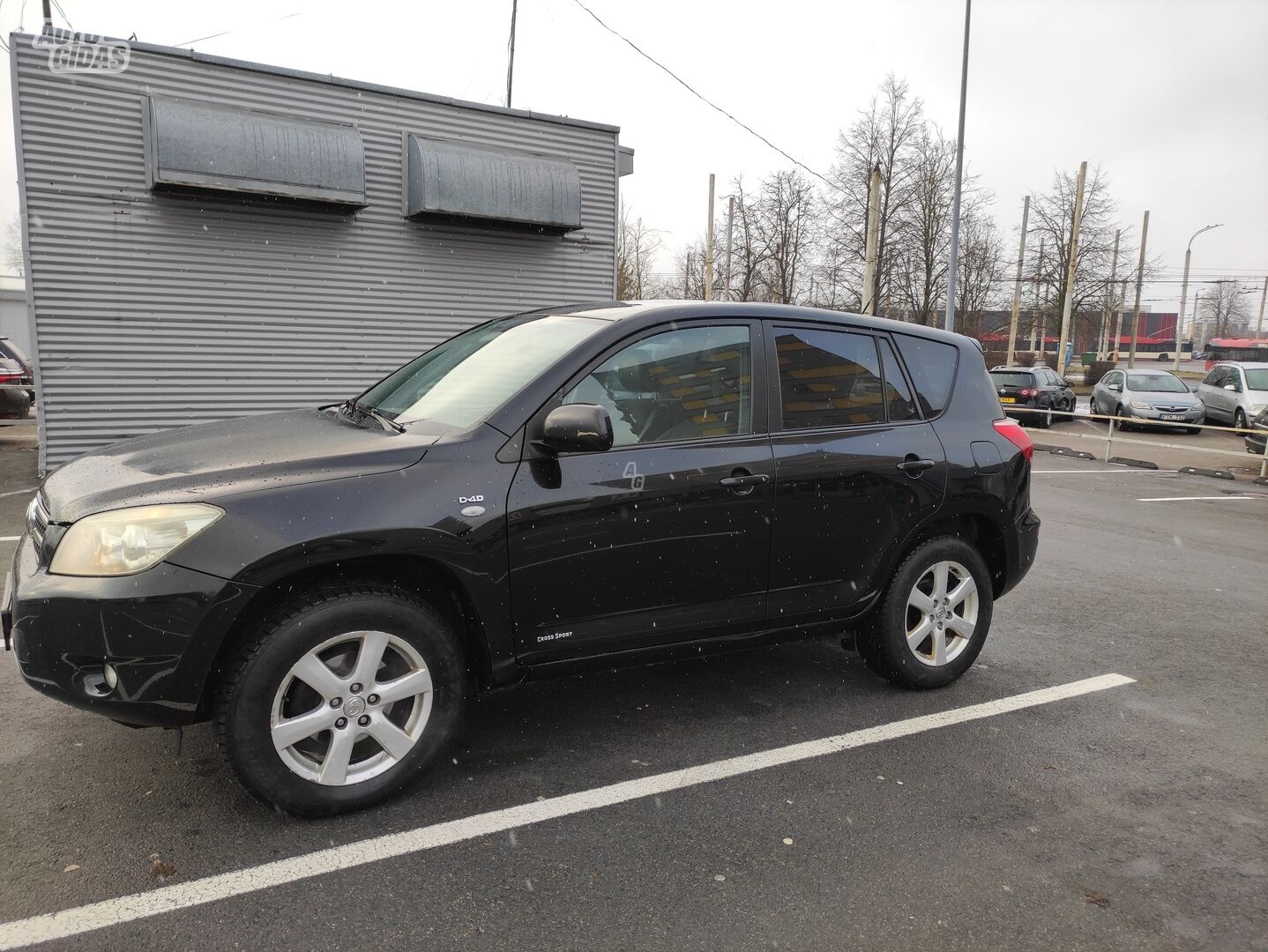 Toyota RAV4 2008 m Visureigis / Krosoveris