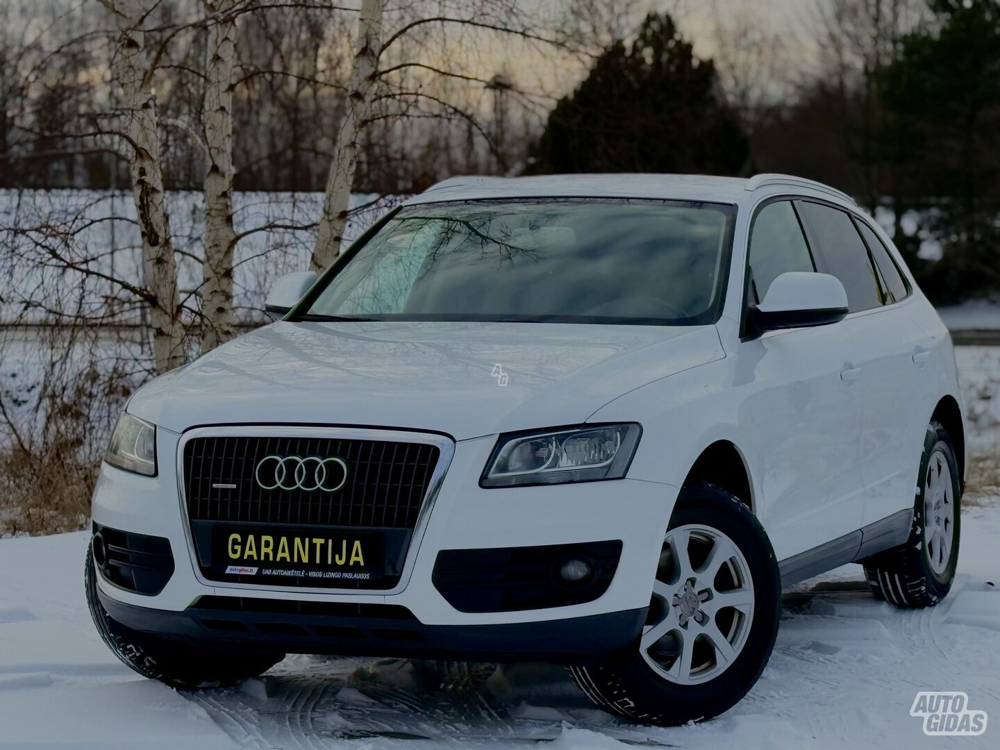 Audi Q5 2010 y Off-road / Crossover