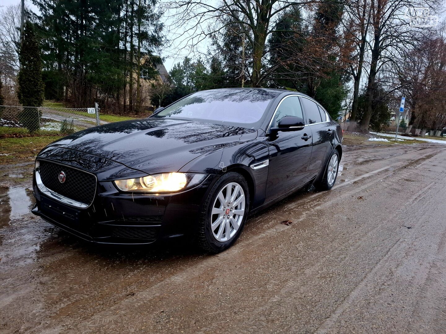 Jaguar XE 2015 m Sedanas