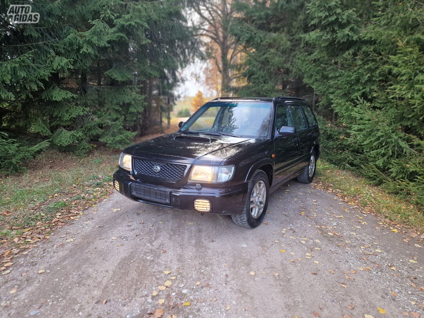 Subaru Forester 2001 г Внедорожник / Кроссовер