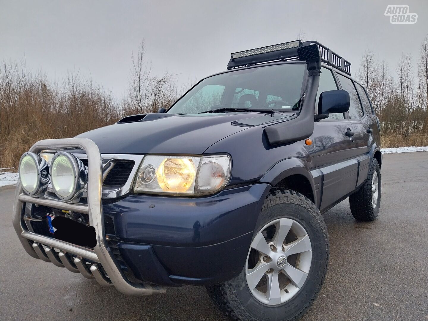 Nissan Terrano 2003 г Внедорожник / Кроссовер