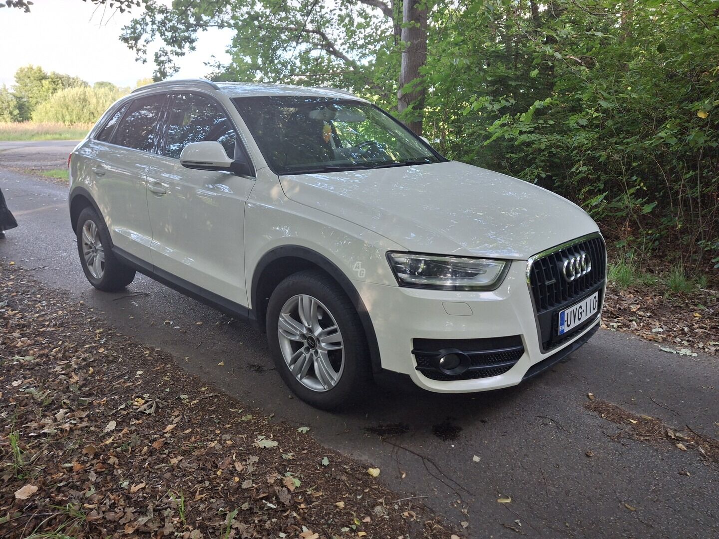 Audi Q3 2013 m Visureigis / Krosoveris