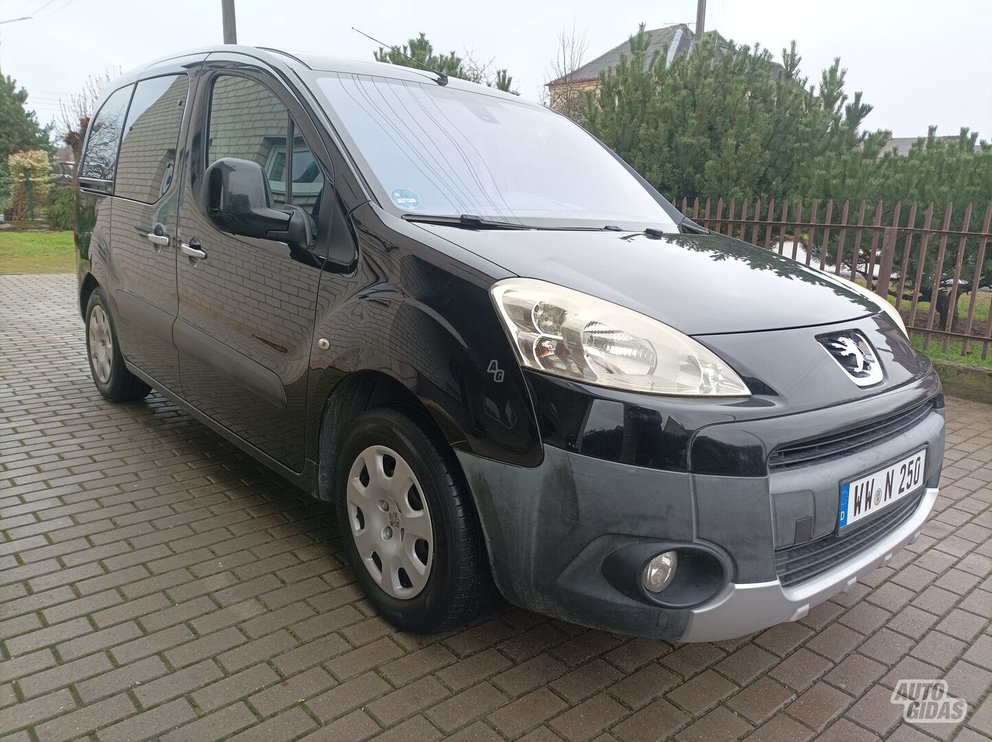 Peugeot Partner 2009 y Van