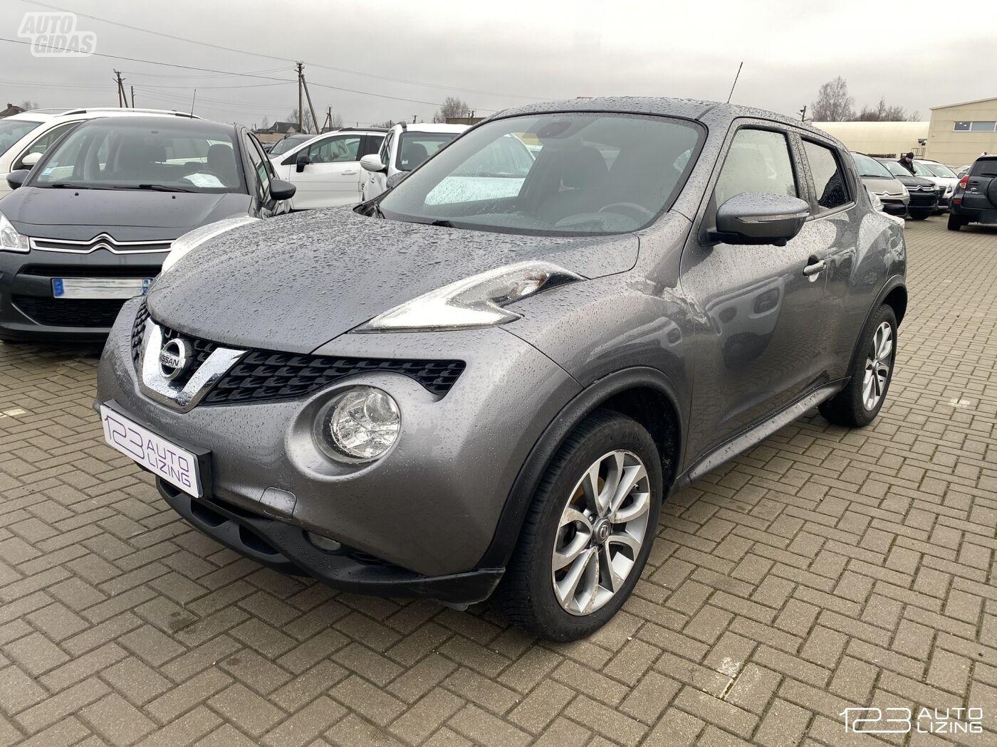 Nissan Juke 2014 г Внедорожник / Кроссовер