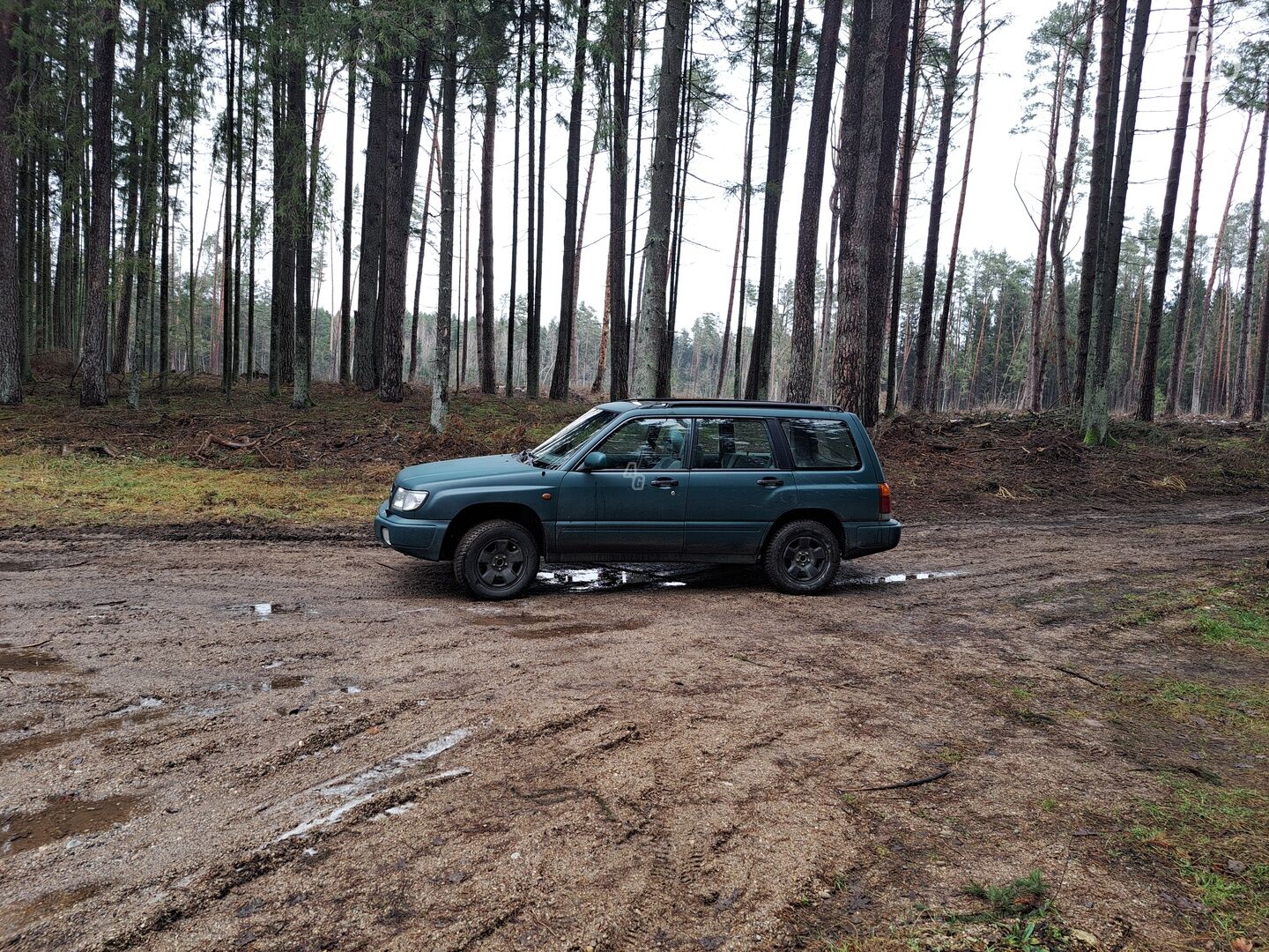 Subaru Forester 1997 y Off-road / Crossover