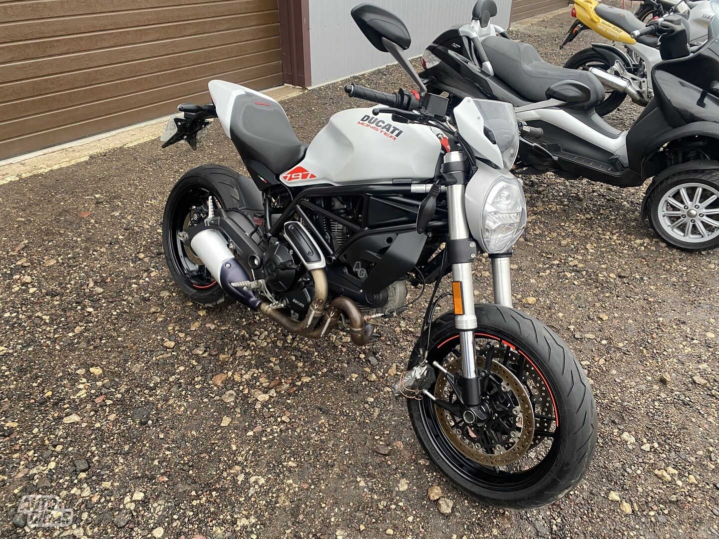 Ducati Monster 2019 г Классический / Streetbike мотоцикл