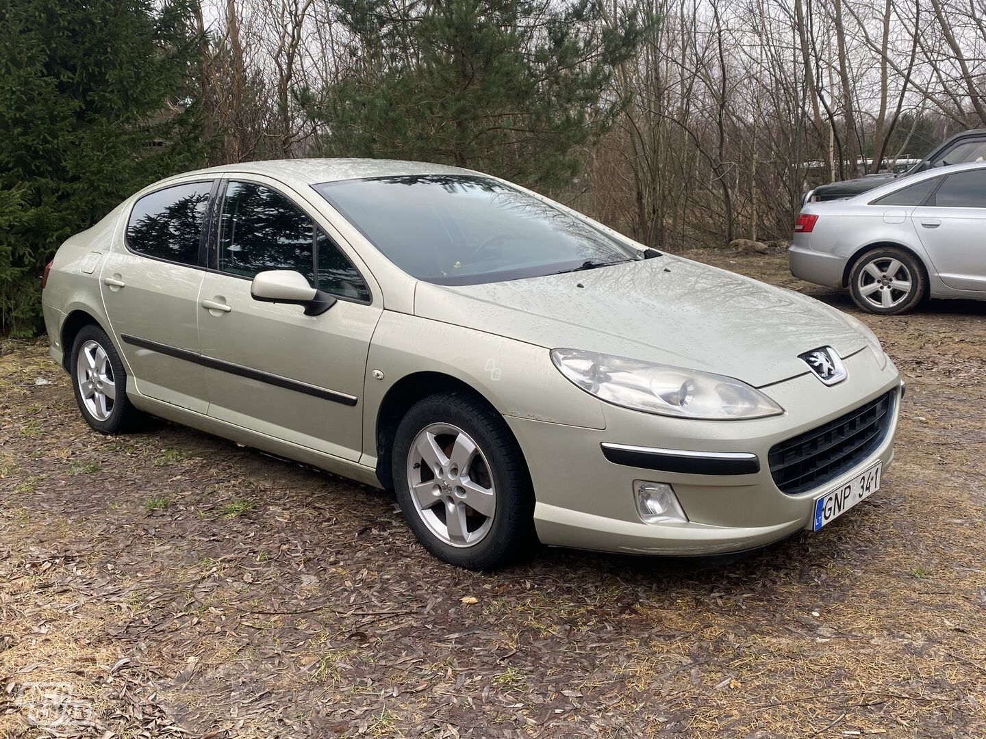 Peugeot 407 2005 m Sedanas