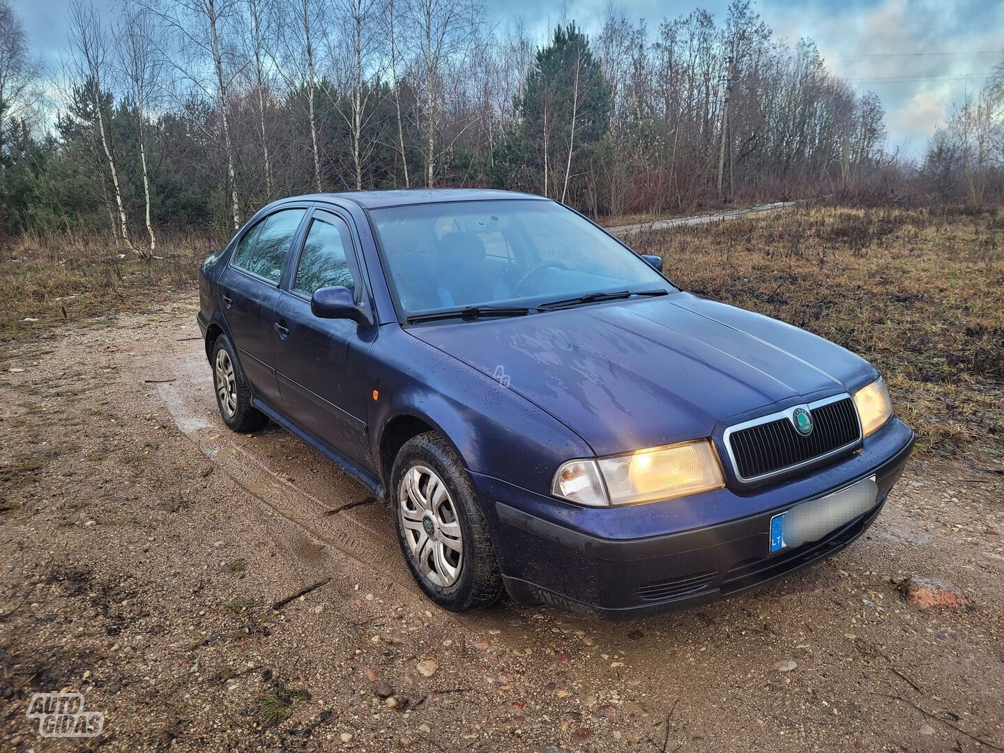 Skoda Octavia 1999 m Hečbekas