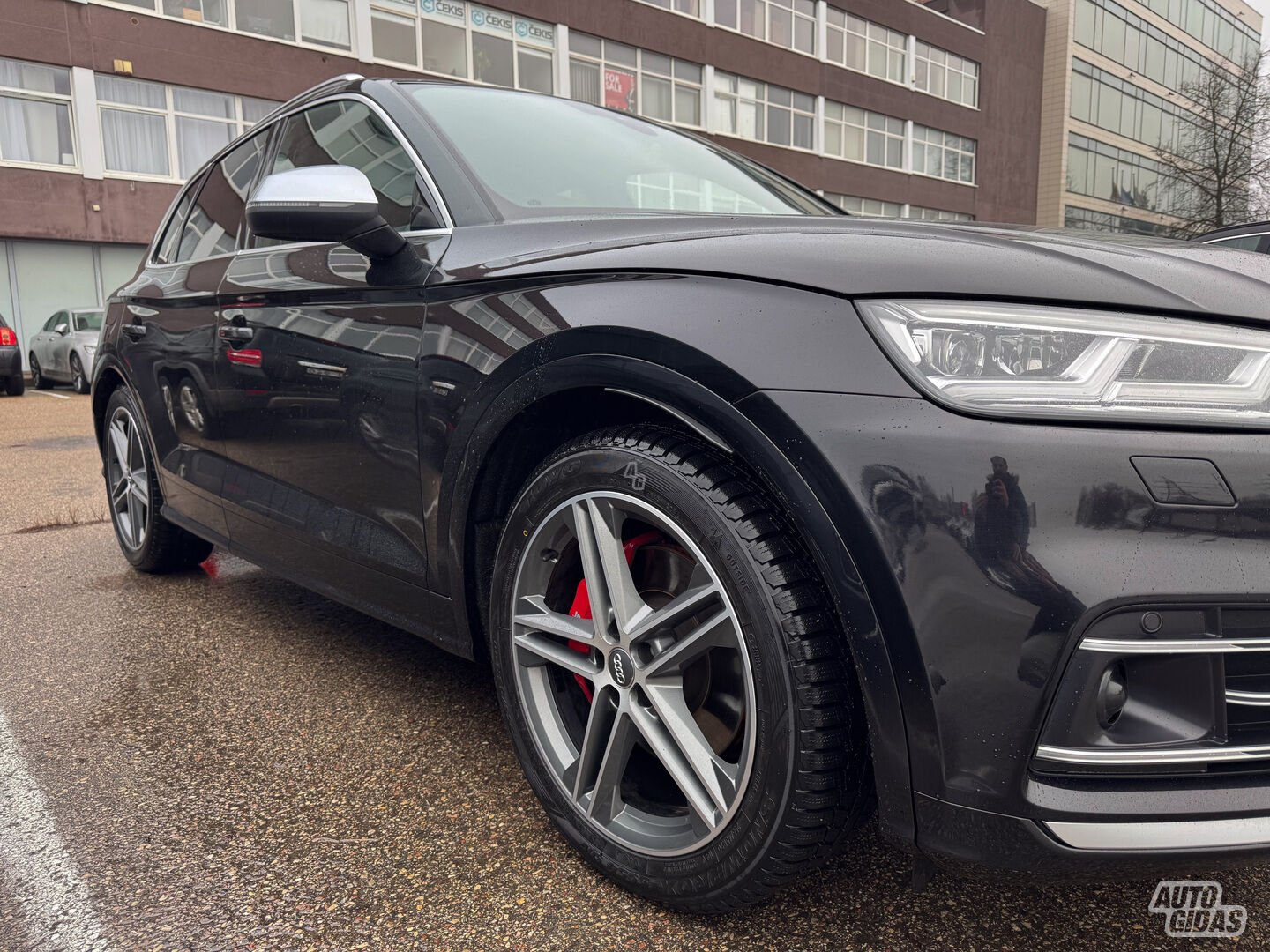 Audi SQ5 2018 m Visureigis / Krosoveris