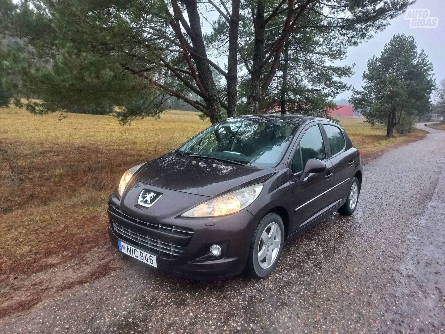 Peugeot 207 2011 y Hatchback