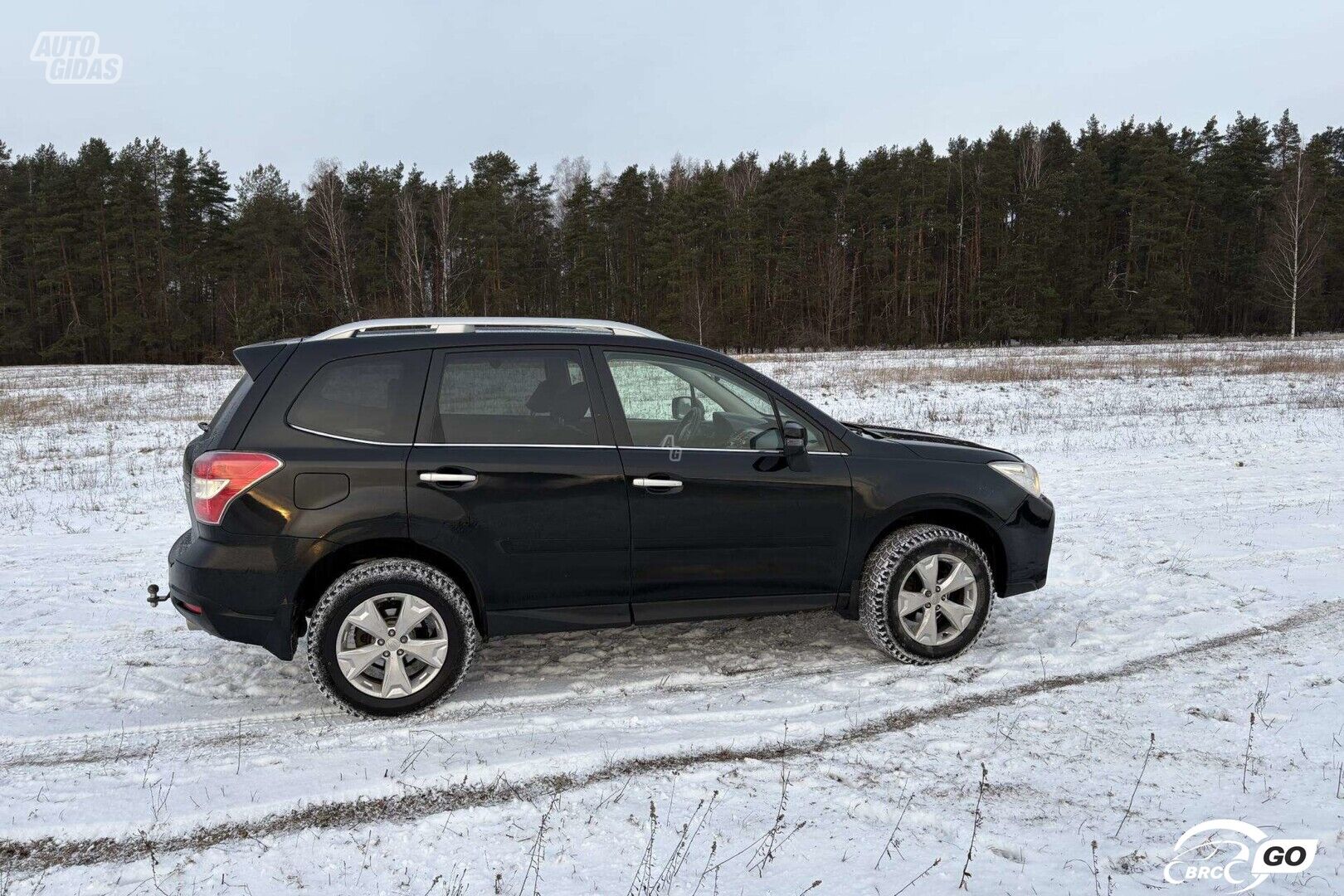 Subaru Forester 2015 m Visureigis / Krosoveris