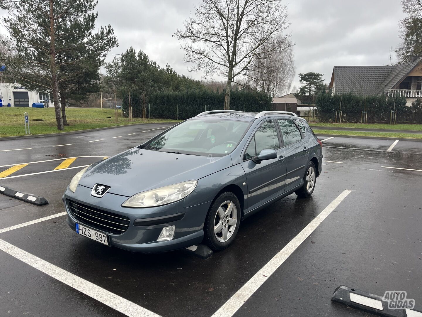 Peugeot 407 2008 y Wagon