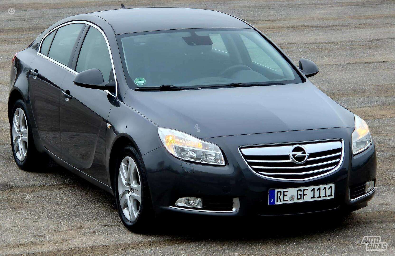 Opel Insignia 2009 г Хэтчбек