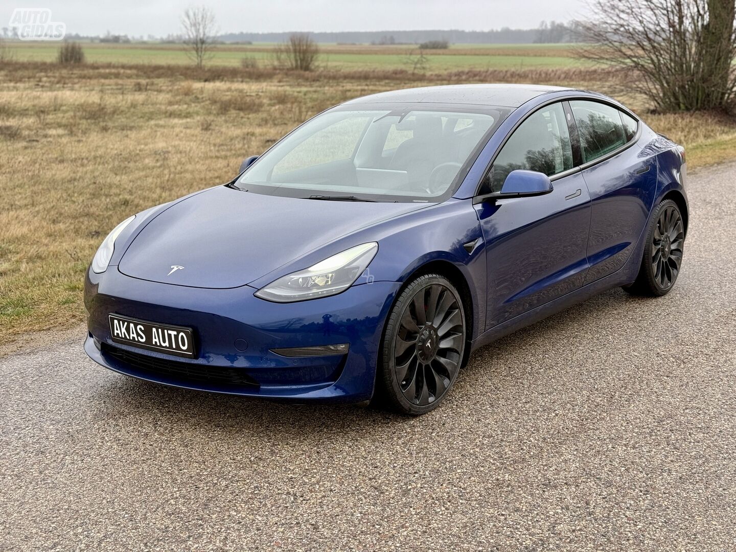 Tesla Model 3 2021 m Sedanas