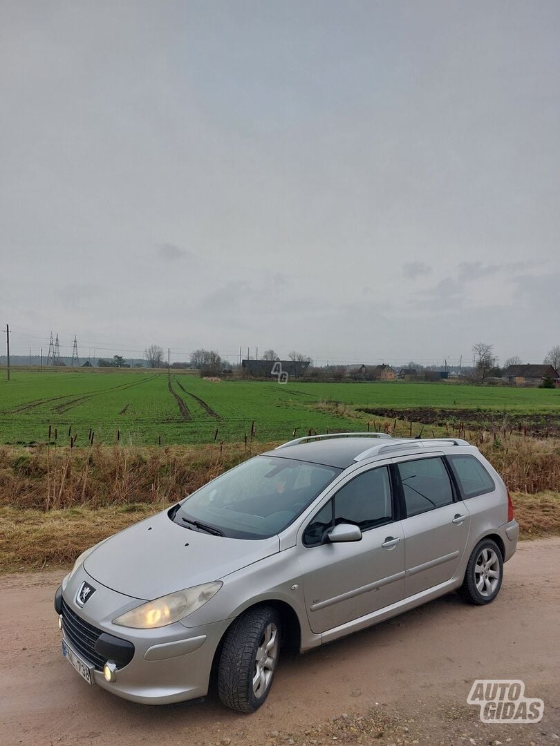 Peugeot 307 2006 y Wagon