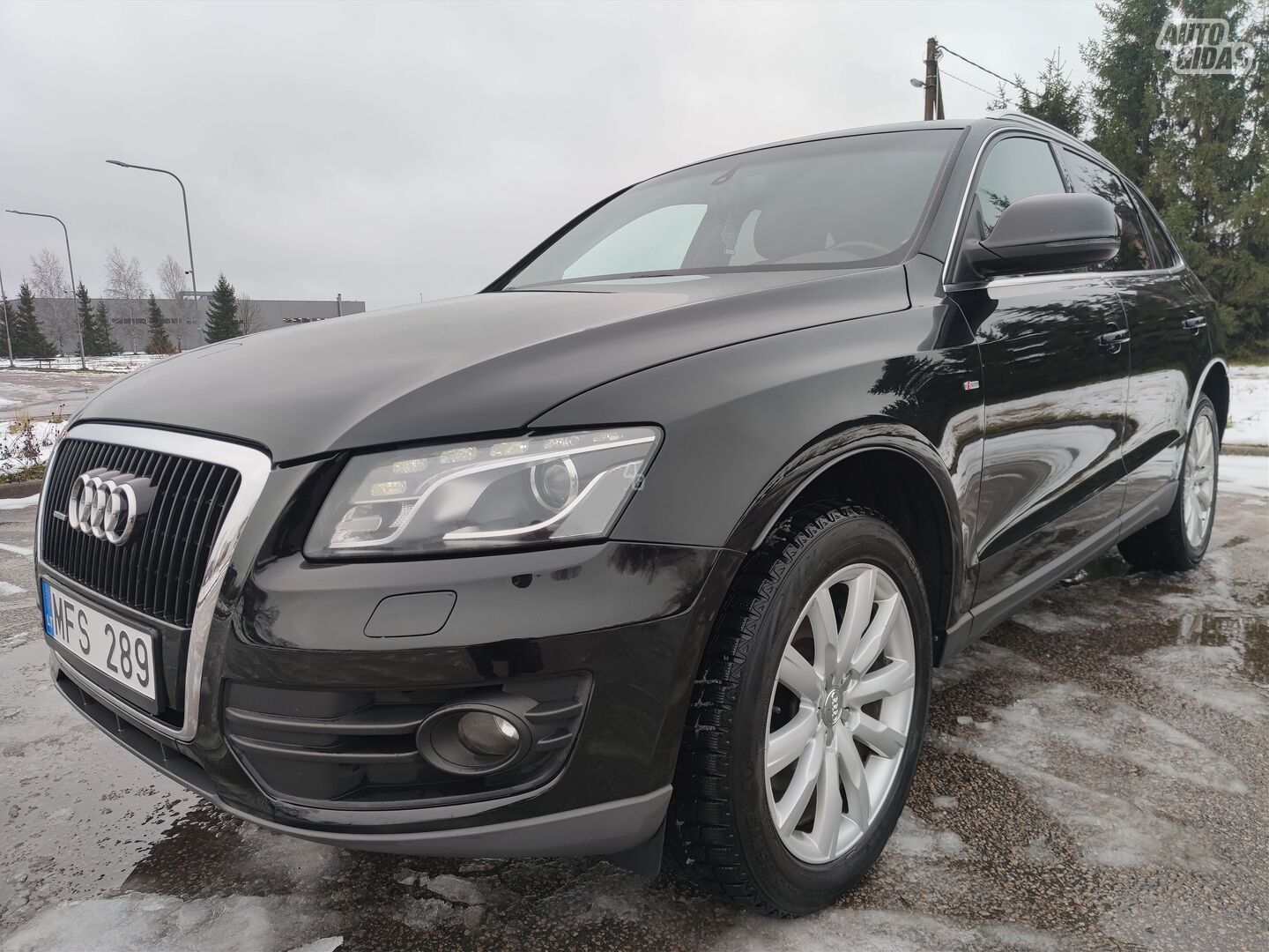 Audi Q5 2009 г Внедорожник / Кроссовер