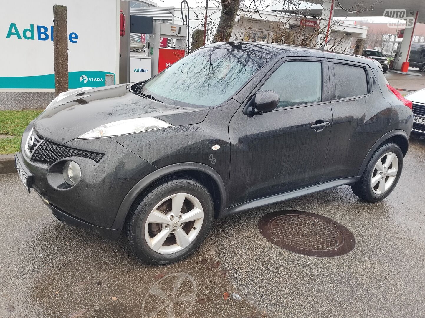 Nissan Juke 2011 г Внедорожник / Кроссовер