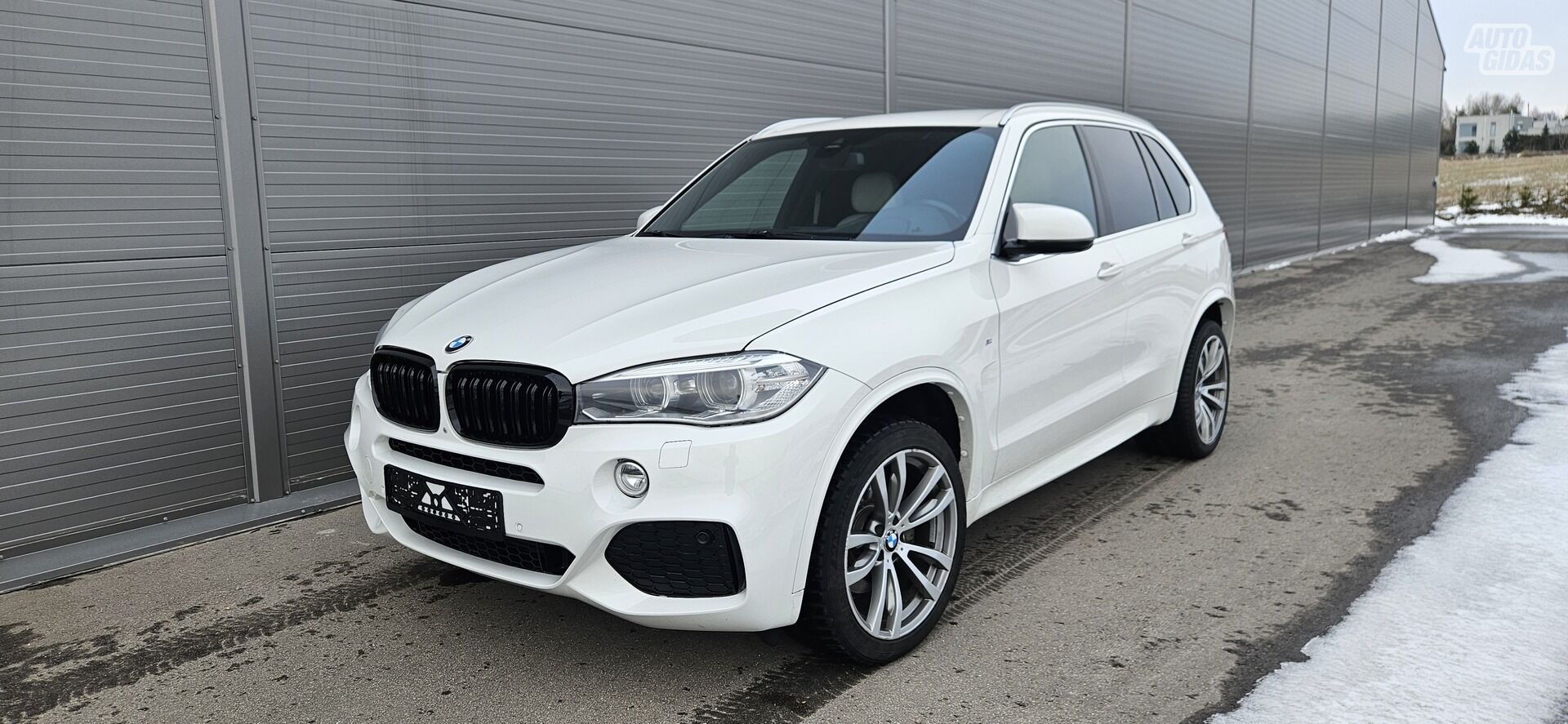 Bmw X5 2014 m Visureigis / Krosoveris