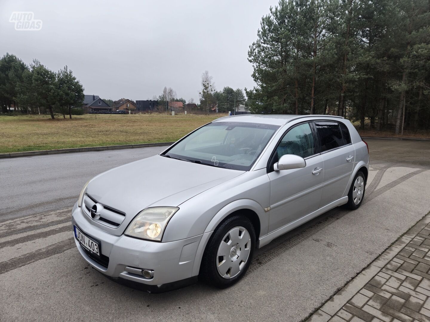 Opel Signum 2003 г Хэтчбек