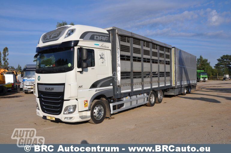 DAF XF 460 FAR 2016 m