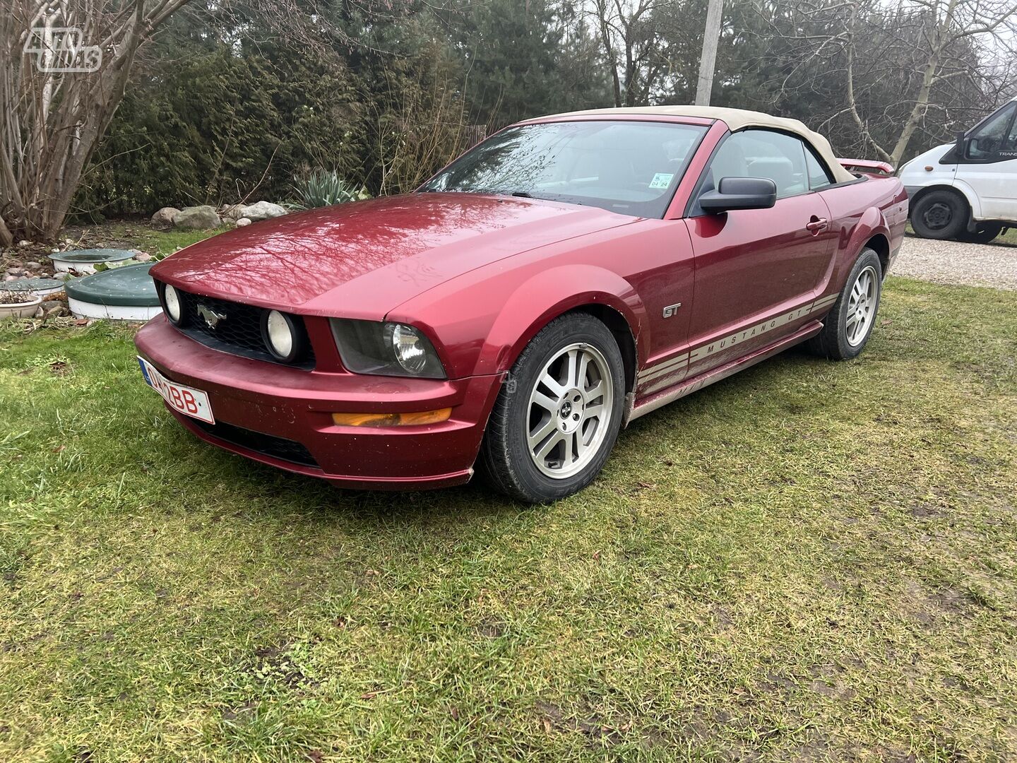 Ford Mustang 2007 y Convertible