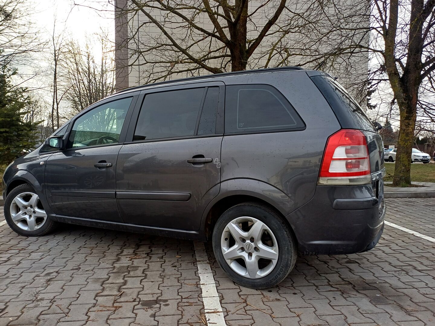 Opel Zafira 2008 y Van