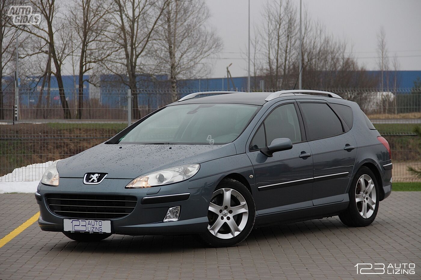 Peugeot 407 2006 y Wagon