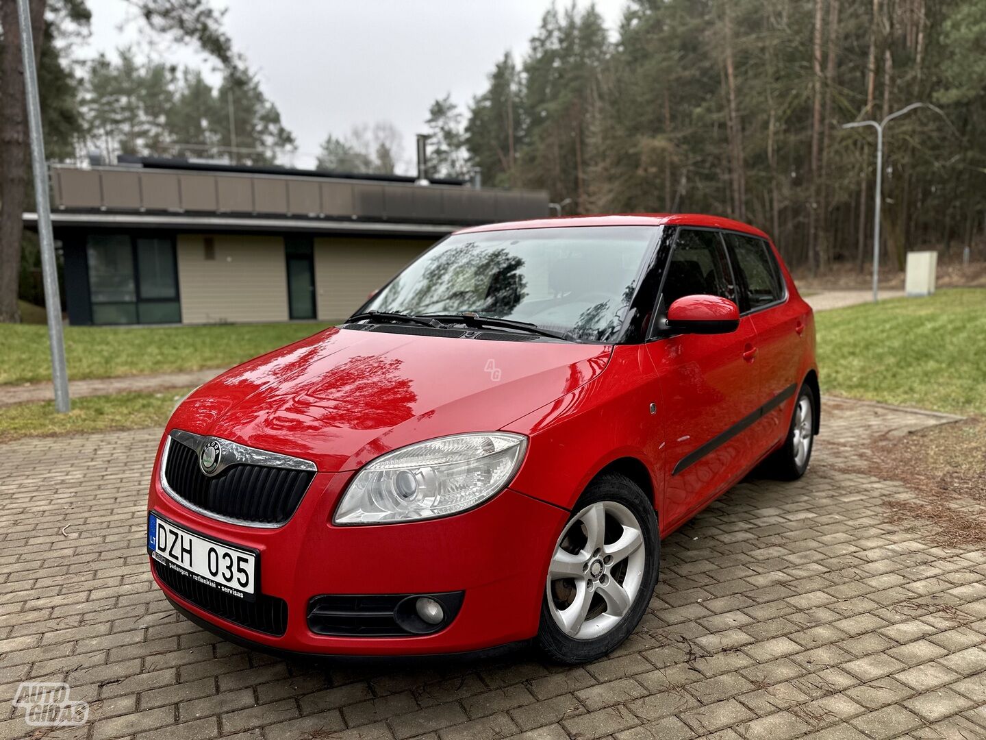 Skoda Fabia 2009 m Hečbekas