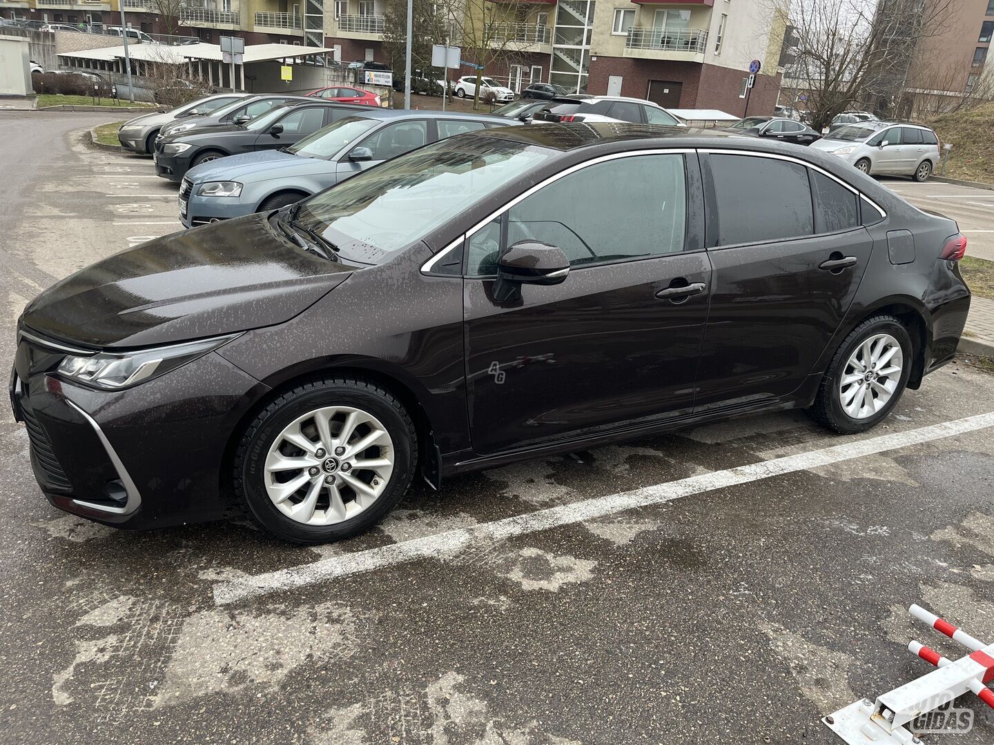 Toyota Corolla 2019 y Sedan