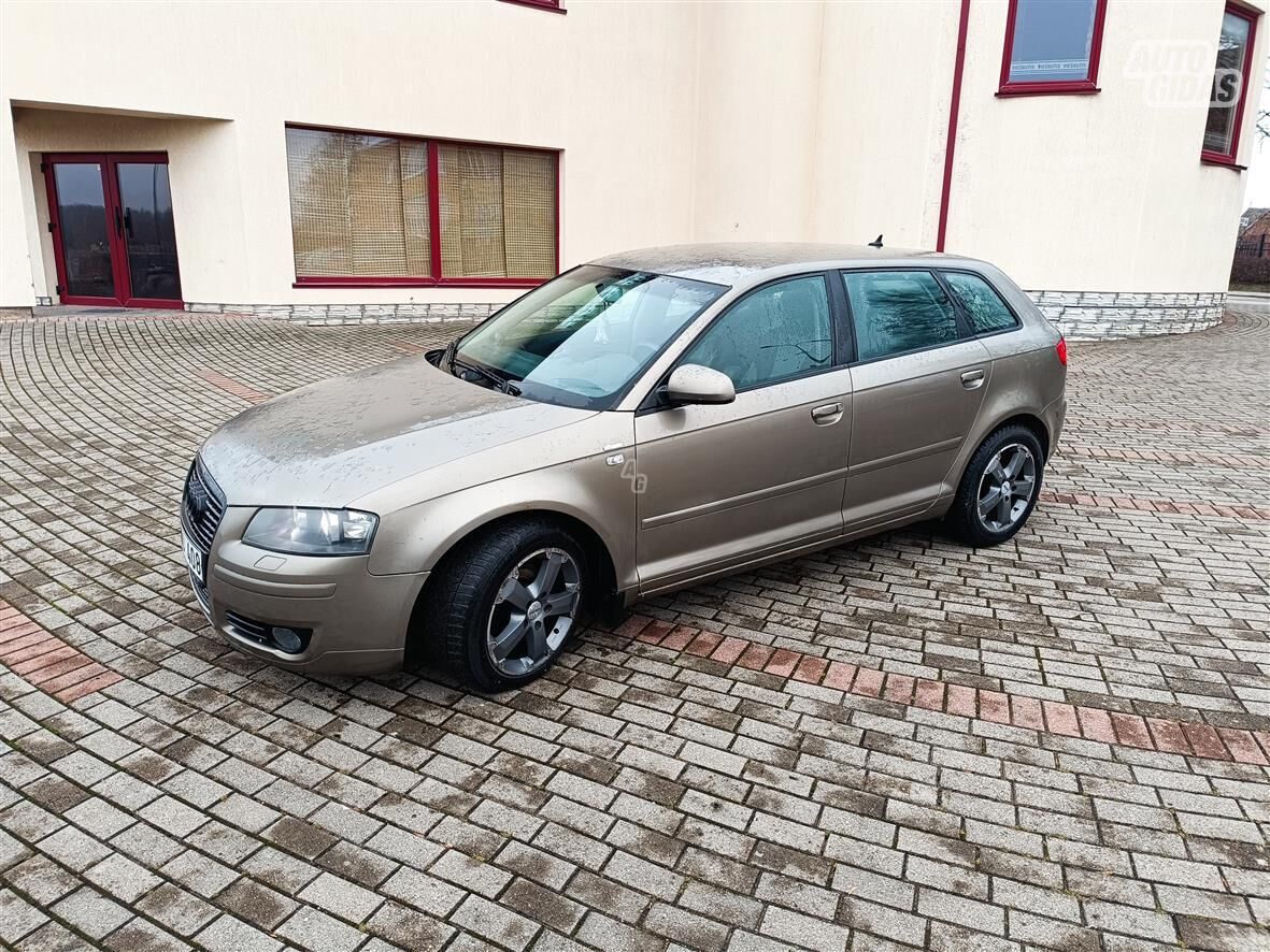 Audi A3 2005 m Universalas