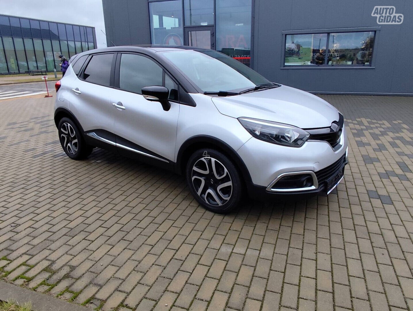 Renault 2015 m Visureigis / Krosoveris