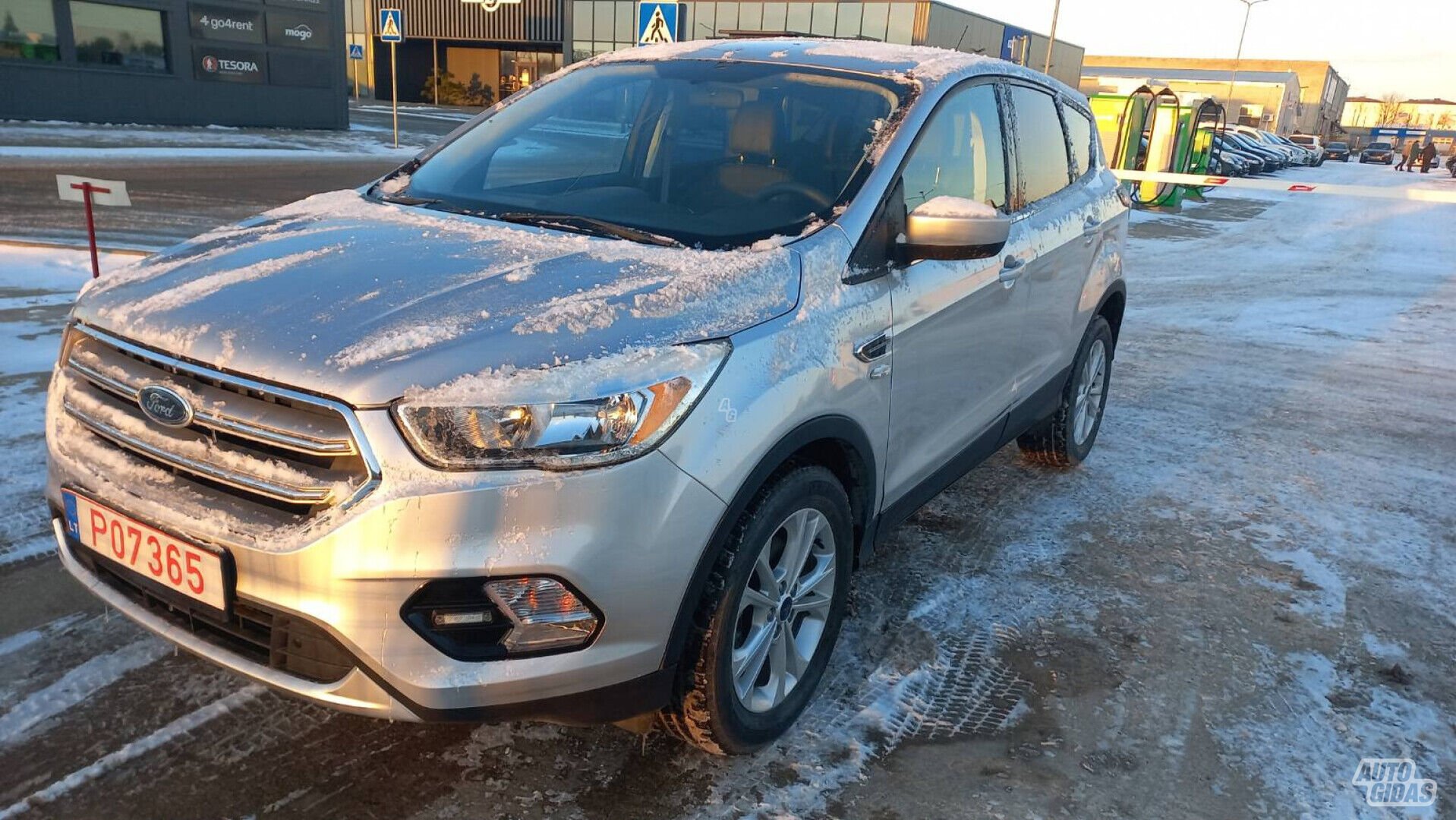 Ford Kuga 2017 m Visureigis / Krosoveris