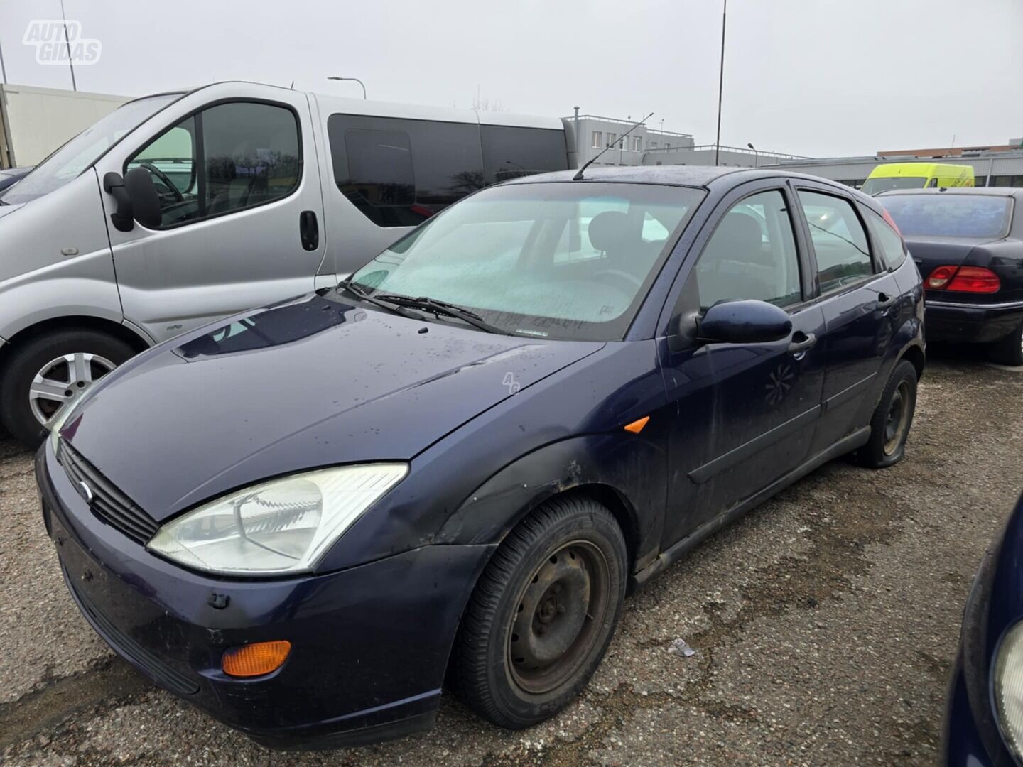 Ford Focus 2000 y Hatchback